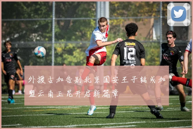 外援古加告别北京国安王子铭或加盟云南玉昆开启新篇章